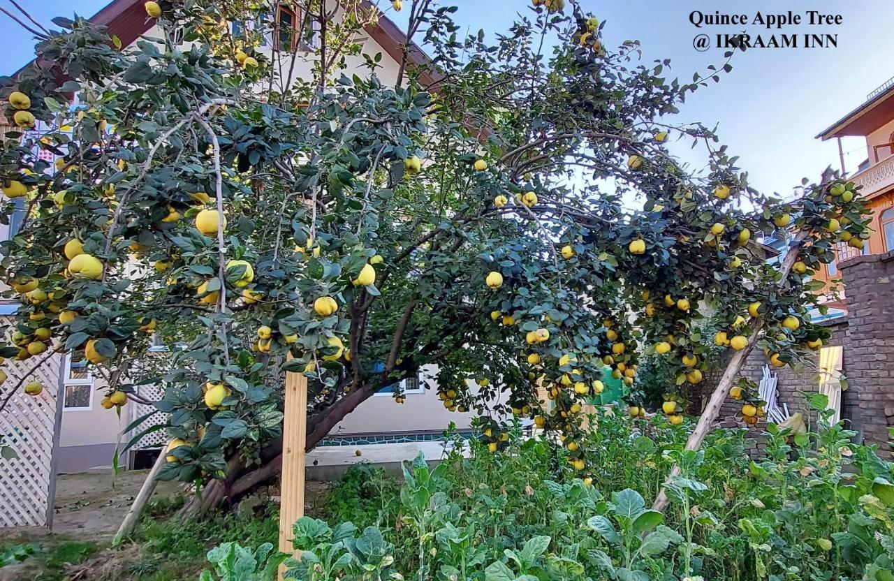 Ikraam Inn Bed & Breakfast Σριναγκάρ Εξωτερικό φωτογραφία